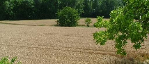 Chambres d'hôtes Gensac la Pallue Charente La Pallue